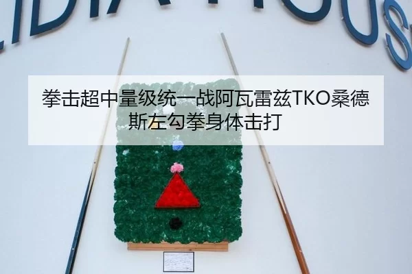 拳击超中量级统一战阿瓦雷兹TKO桑德斯左勾拳身体击打